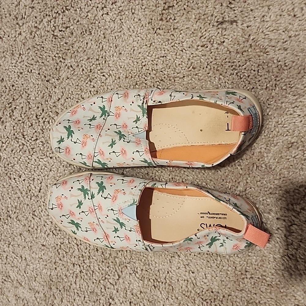 Toms Flamingo Design